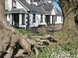 The Wandering Donkey Guest House