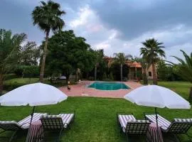 Teacook Marrakech
