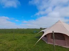 Yurt-tent