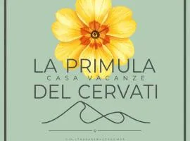 La Primula del Cervati - CASA VACANZE