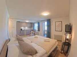 Stylish Aurora Studio with Mountain Views Lenzerheide