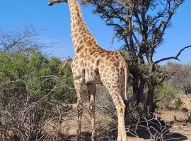 Leopard Lagoon 41 Holiday Home Dinokeng Big 5