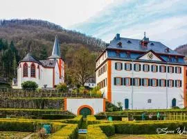Kuschel-Ferienwohnung mit Rheinblick, am Mittelrhein nahe Loreley