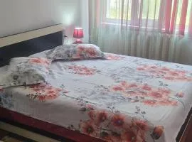 Apartament 3 camere Neptun