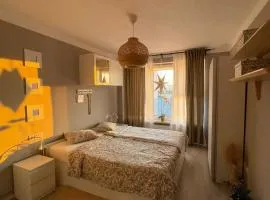 Apartament Loft Ultracentral Târgu Mureș