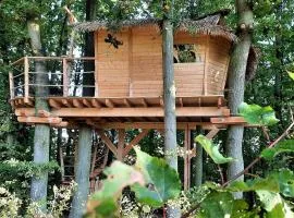 Treehouses Karlov pod Pradědem