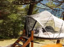 Bulles suspendues aux arbres