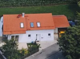 Wiflinger Graben Einfamilienhaus