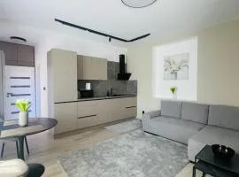 Luxury Apartment Baštová Old Town, Košice