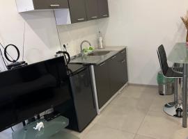Apartman Anđela، فندق في فينكوفسي