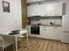 Cozy studio apartment with a large terrace