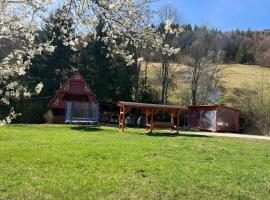 Cabana Paltini, hótel 