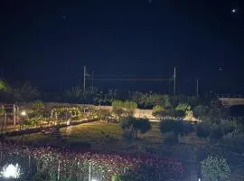 Casa Vacanza Demetra