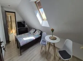 Dom nad Kanałem pokój nr 2