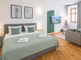 CoView - Pirna Altstadt - Parkplatz, Hotel in Pirna