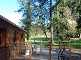 Roulotte des Hêtres au Domaine de Vauguenige