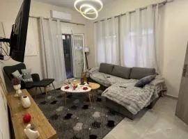 Gemini Downtown Apartment