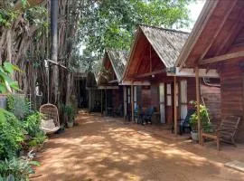 Cool Banyan Cabana