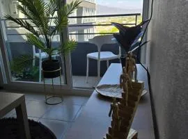 Nuevo y Céntrico Departamento 2 o 3 dormitorios parcking y wifi gratis