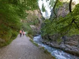 Holiday Village Wildschönau Family Chalet