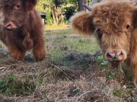 Country Stay on south side of Brisbane, viešbutis mieste Logan Village