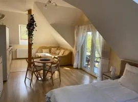 Apartament Joanna