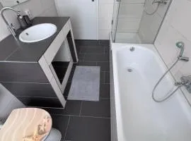 geräumige und ausgestattete Wohnung