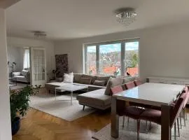 Grand villa with great location!