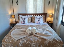 Mackenzie Motels, hotel a Fairlie