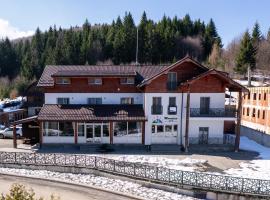 Pensiunea Mountain Pearl, hotel v destinaci Deseşti