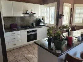 Dog friendly accommodation