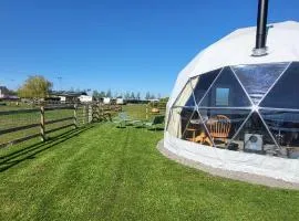 alpaca view Dome