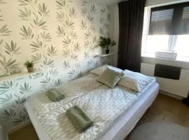 Vshus apartament