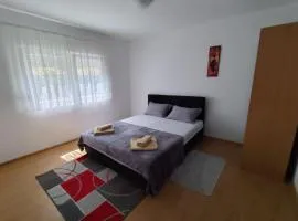 Apartment Dunja