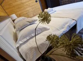 Cabana Tesa Borșa MM