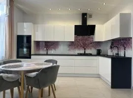 Apartament Panorama Beskidu - Rymanow Rynek