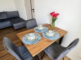 Apartament Pablo-Przy Zamku