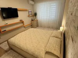 New House Strișca