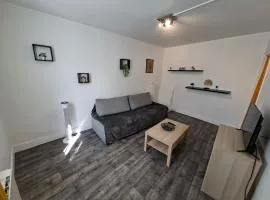 F2 confort 4 personne centre-ville