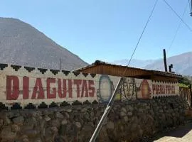 VALLE DEL ELQUI,Diaguitas, Vicuña