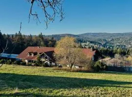 Aotearoa - Mountain apartment in Bavaria, Mitterdorf - Mitterfirmiansreut
