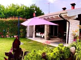 Vita sul Garda