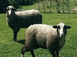 Moimenta Guest House