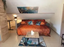 T2 parking privé , 15min de CNPE et 10min PIPA 4couchages animaux ok