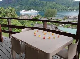 Tropical Cruise Cook's Bay Paopao Moorea