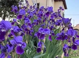 108 B&B Valdobbiadene