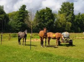 B&B Westernreiten K&K