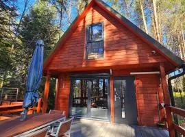 Domek w lesie przy jeziorze Kamień