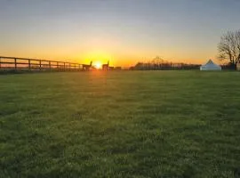 Glamping with Llamas