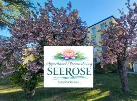 Appartement - Wohnung SEEROSE 50 m2 Neufeldersee